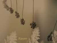 Download
